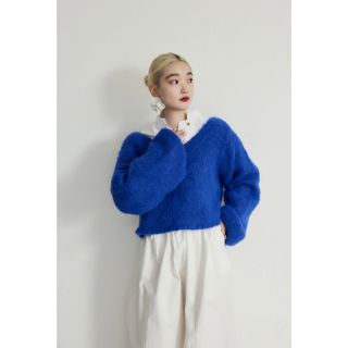 ヘリンドットサイ(HeRIN.CYE)のmio yanase / Vneck knit top(ニット/セーター)