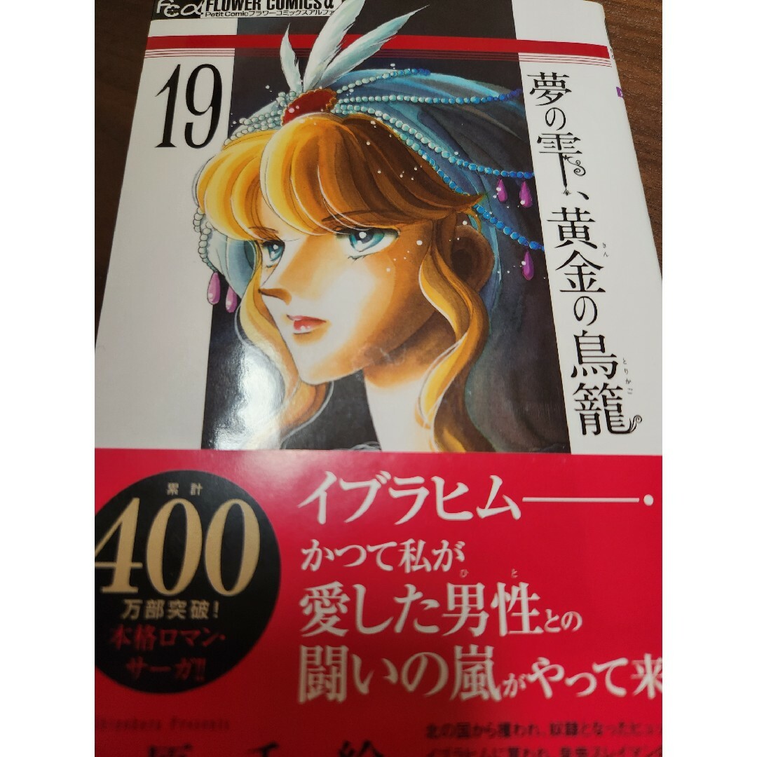 夢の雫、黄金の鳥籠　最新刊　19巻 エンタメ/ホビーの漫画(少女漫画)の商品写真