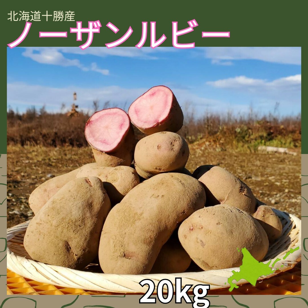 【20kg 】北海道産　じゃがいも　ノーザンルビー 食品/飲料/酒の食品(野菜)の商品写真