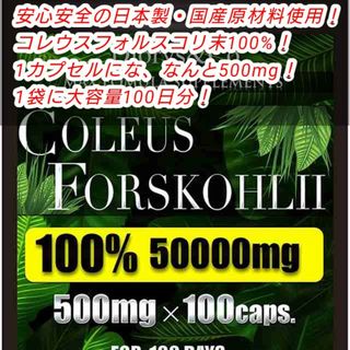 コレウスフォルスコリ 100％ 1粒500mg 100カプセル 100日分 1袋(その他)