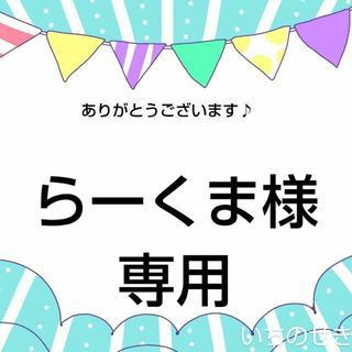 イムラヤ(井村屋)のらーくま様 専用です♪ えいようかん １０個(菓子/デザート)