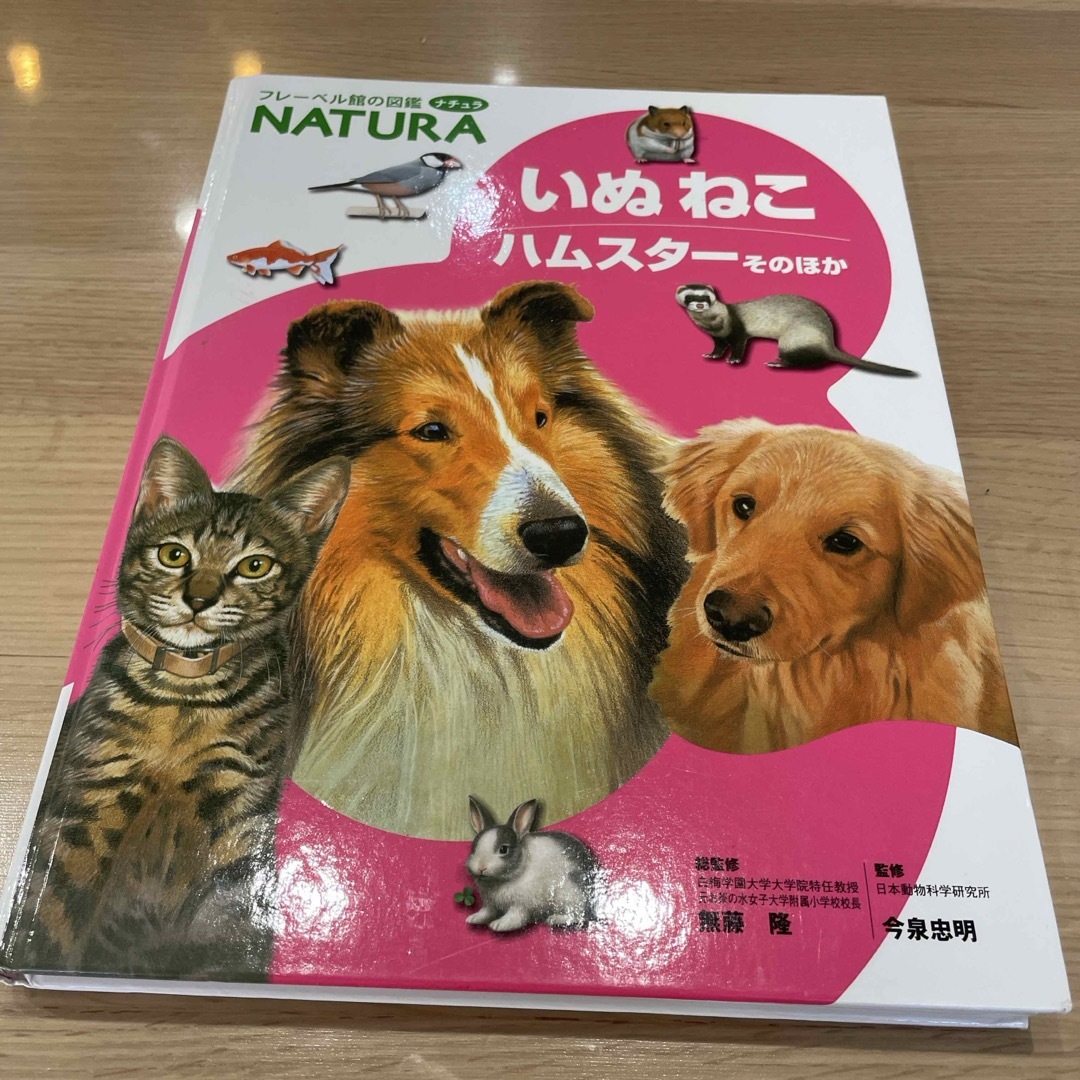 フーベル館図鑑　いぬねこハムスターその他 エンタメ/ホビーの本(絵本/児童書)の商品写真