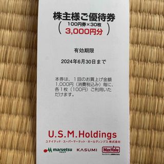 イオン(AEON)の値下げ　U.S.M Holdings 買物　優待券　3000円分(ショッピング)