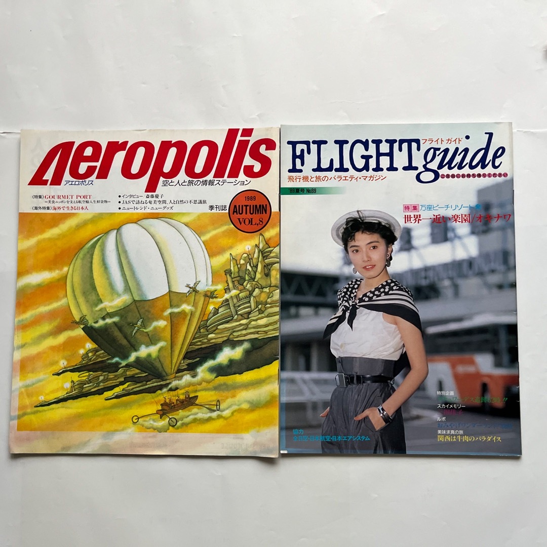 FLIGHT GUIDE と AEROPOLIS 1989年 エンタメ/ホビーのテーブルゲーム/ホビー(航空機)の商品写真