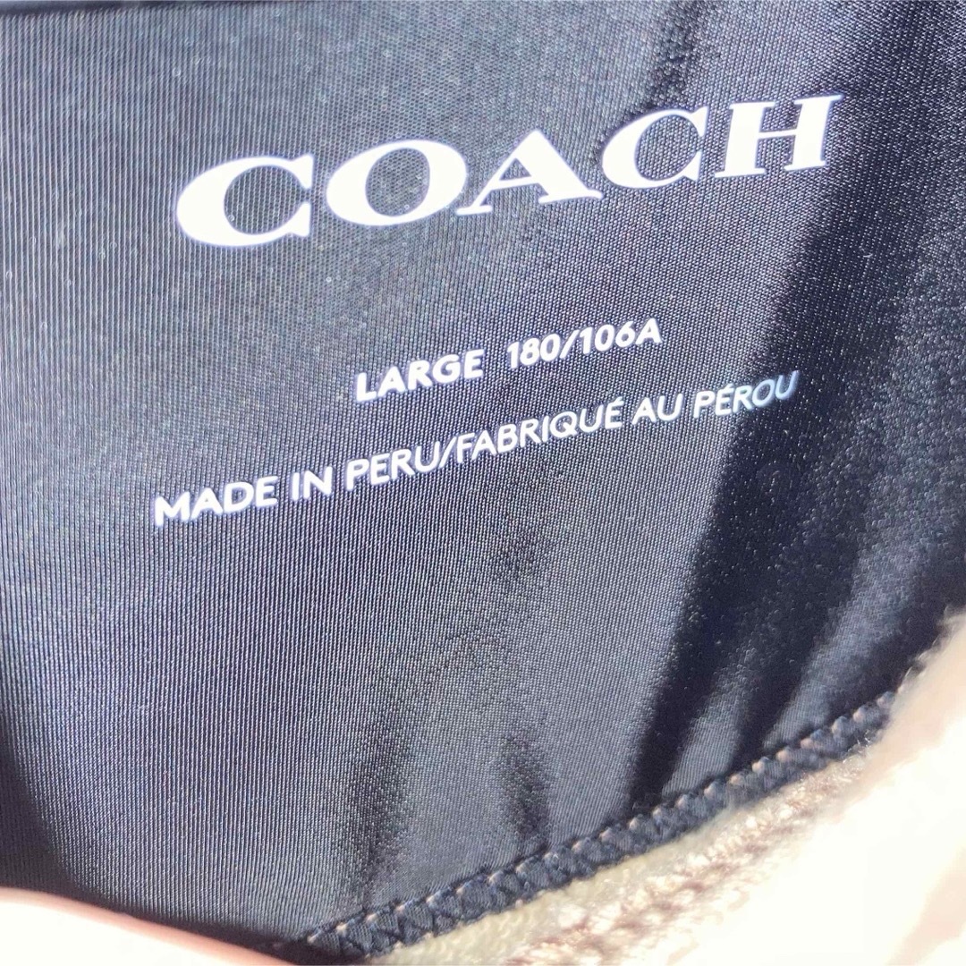 COACH(コーチ)のCOACHコーチパーカー メンズのトップス(パーカー)の商品写真