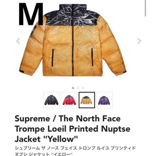 シュプリーム(Supreme)のThe North Face Trompe Loeil Printed ヌプシ(ダウンジャケット)