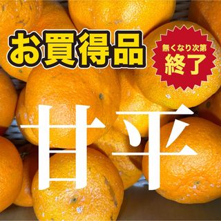 甘平　4.5キロ『箱込み』　家庭用(フルーツ)