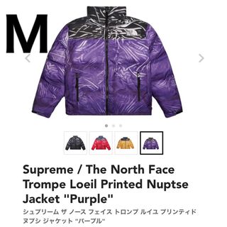 シュプリーム(Supreme)のThe North Face Trompe Loeil Printed (ダウンジャケット)