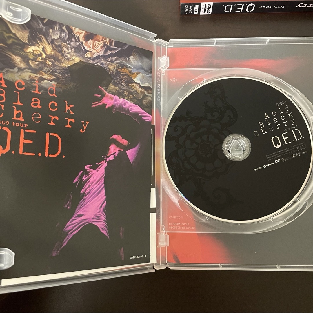 avex(エイベックス)のAcidBlackCherry ライブDVD QED エンタメ/ホビーのDVD/ブルーレイ(ミュージック)の商品写真