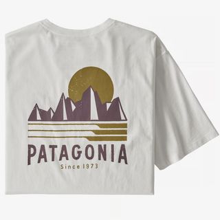 パタゴニア(patagonia)のpatagonia  パタゴニア　チューブビューオーガニック　Tシャツ(Tシャツ/カットソー(半袖/袖なし))