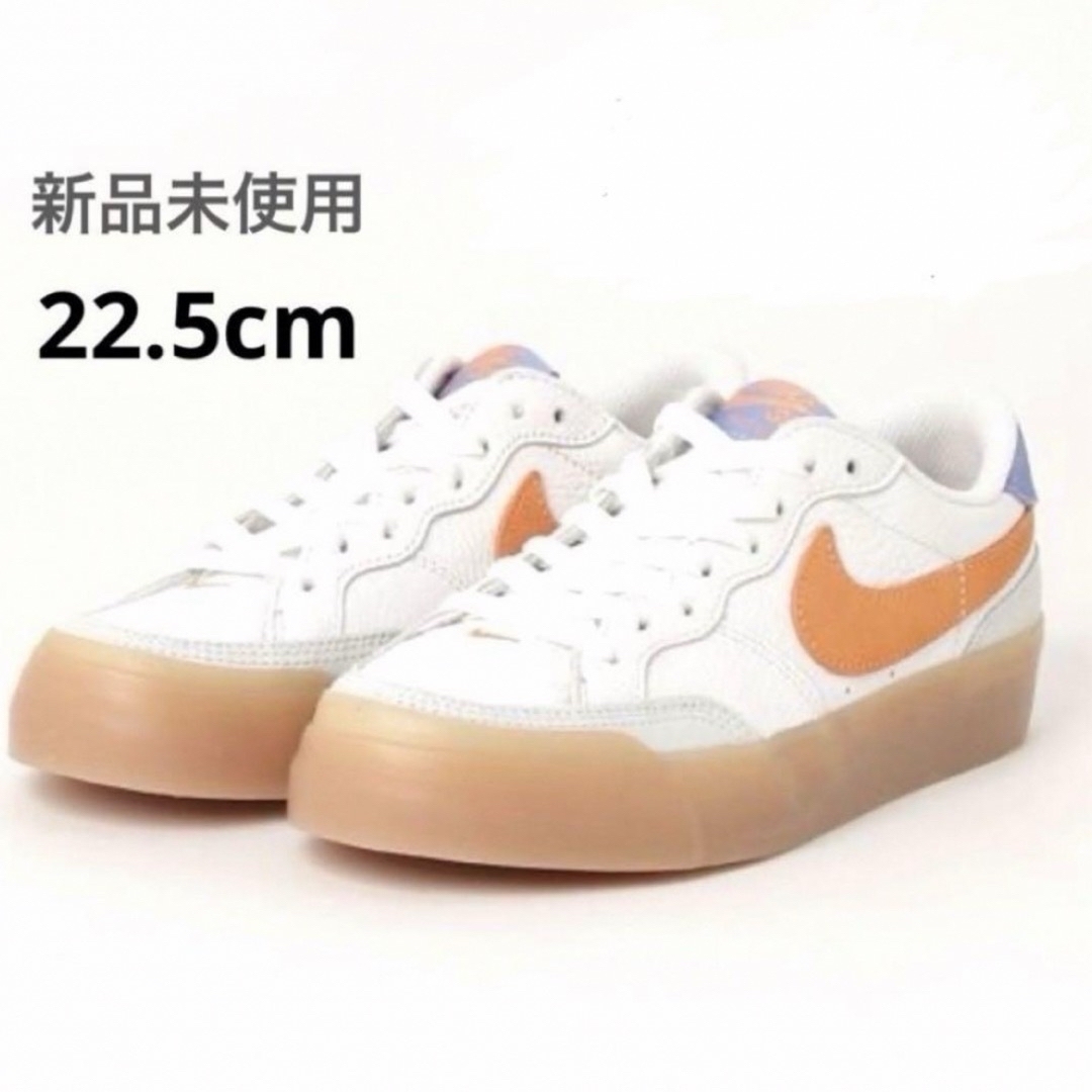 NIKE(ナイキ)のNIKE ナイキ　NIKE SB ナイキエスビー SB ZOOM  22cm レディースの靴/シューズ(スニーカー)の商品写真