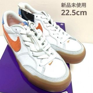 ナイキ(NIKE)のNIKE ナイキ　NIKE SB ナイキエスビー SB ZOOM  22cm(スニーカー)