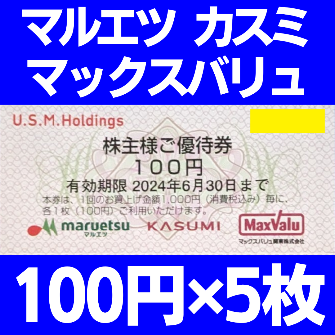 ユナイテッド・スーパーマーケット・ホールディングス 株主優待券 100円✕5枚 チケットの優待券/割引券(ショッピング)の商品写真