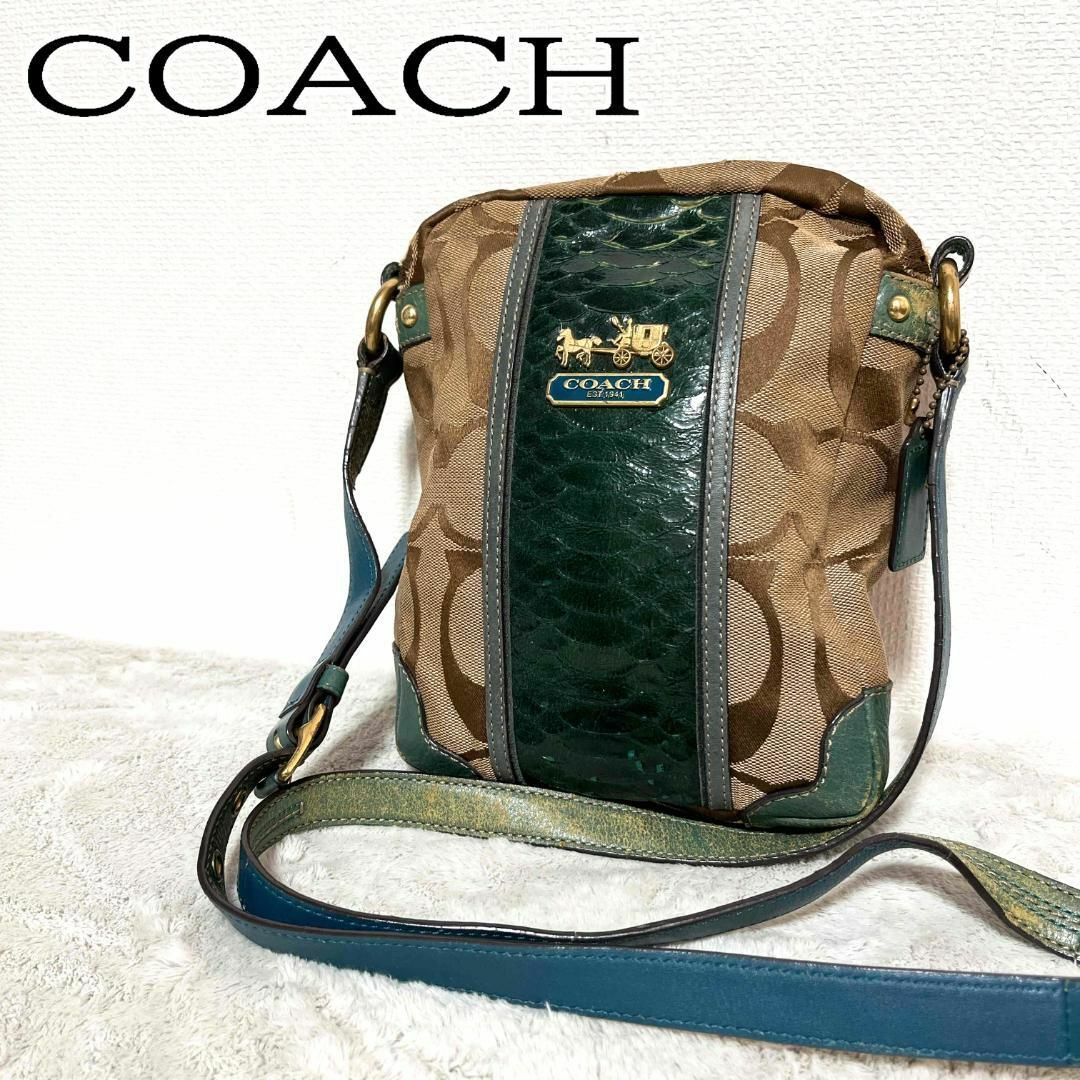 COACH(コーチ)の美品✨COACH コーチショルダーバッグハンドバッグブラウングリーンシグネチャー レディースのバッグ(ショルダーバッグ)の商品写真