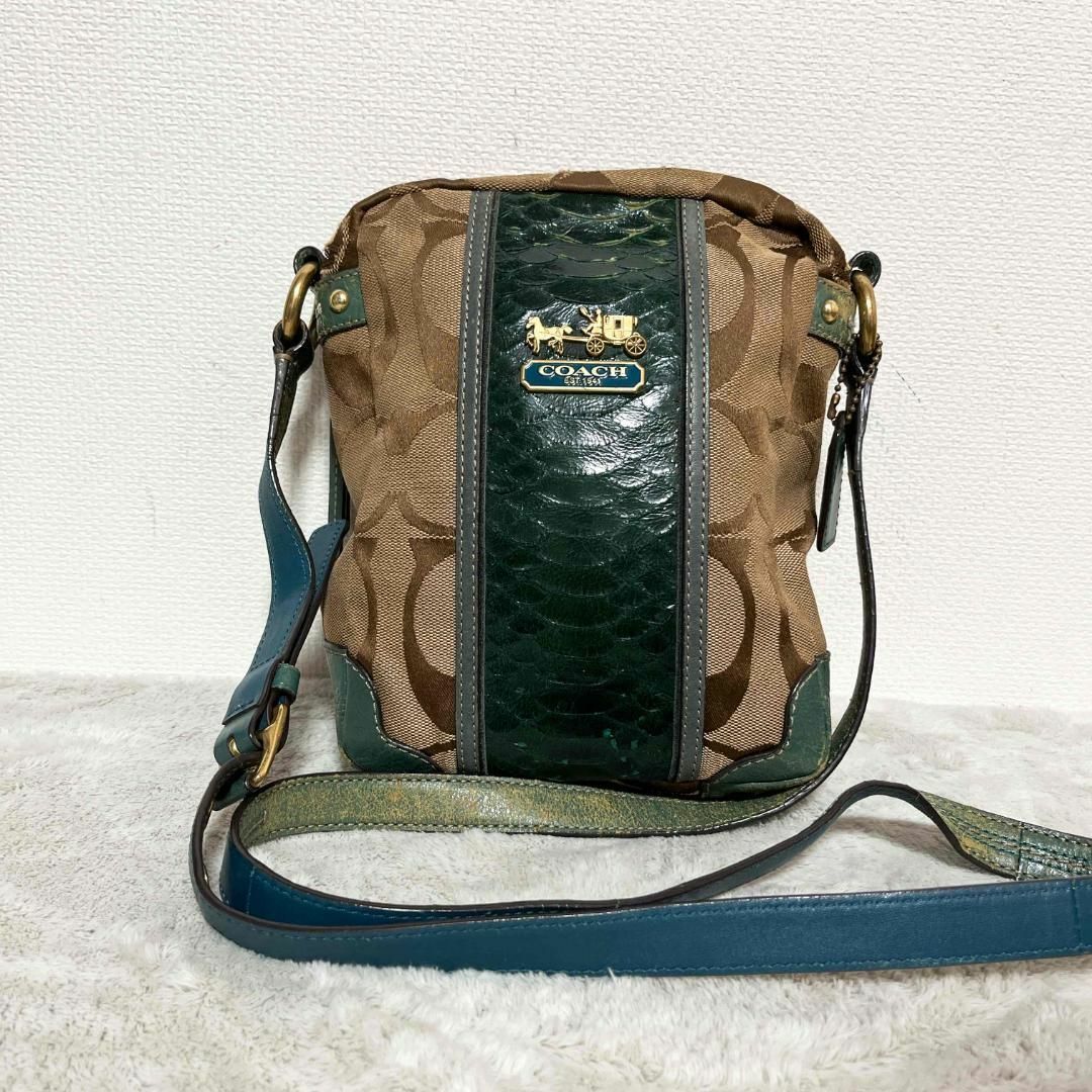 COACH(コーチ)の美品✨COACH コーチショルダーバッグハンドバッグブラウングリーンシグネチャー レディースのバッグ(ショルダーバッグ)の商品写真