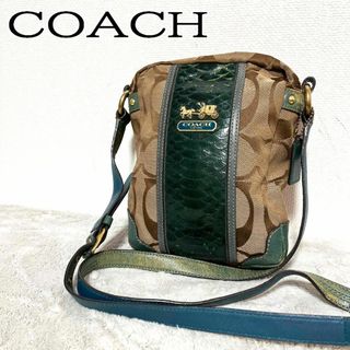 コーチ(COACH)の美品✨COACH コーチショルダーバッグハンドバッグブラウングリーンシグネチャー(ショルダーバッグ)