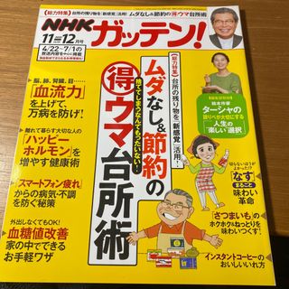 NHKガッテン! 2020年 12月号 [雑誌](生活/健康)