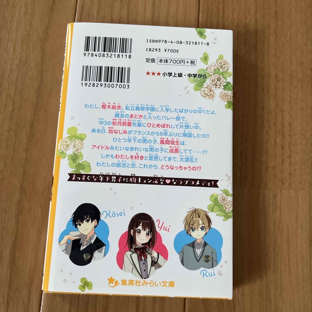 年下男子のルイくんはわたしのことが好きすぎる！　小さな王子サマと波乱の再会！？ エンタメ/ホビーの本(絵本/児童書)の商品写真