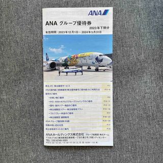 エーエヌエー(ゼンニッポンクウユ)(ANA(全日本空輸))のANA グループ優待券(その他)