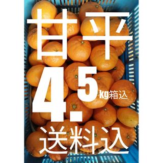 ◎送料込み！甘平4.5kg箱込(フルーツ)