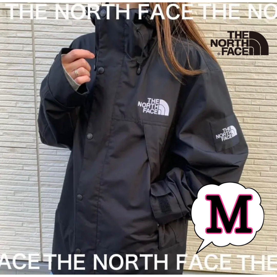 THE NORTH FACE(ザノースフェイス)のノースフェイス マウンテンジャケット ナイロンジャンパー メンズ レディース M メンズのジャケット/アウター(マウンテンパーカー)の商品写真