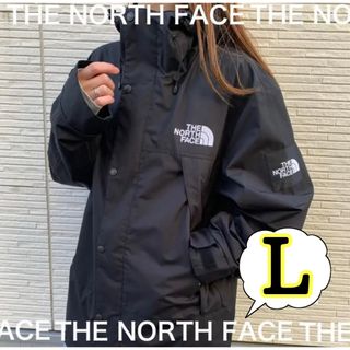 ザノースフェイス(THE NORTH FACE)のノースフェイス マウンテンジャケット ナイロンジャンパー メンズ レディース L(マウンテンパーカー)