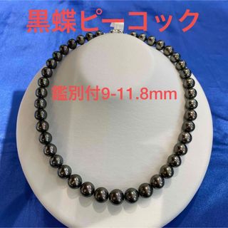 黒蝶ピーコック鑑別付9-11.8mm(ネックレス)