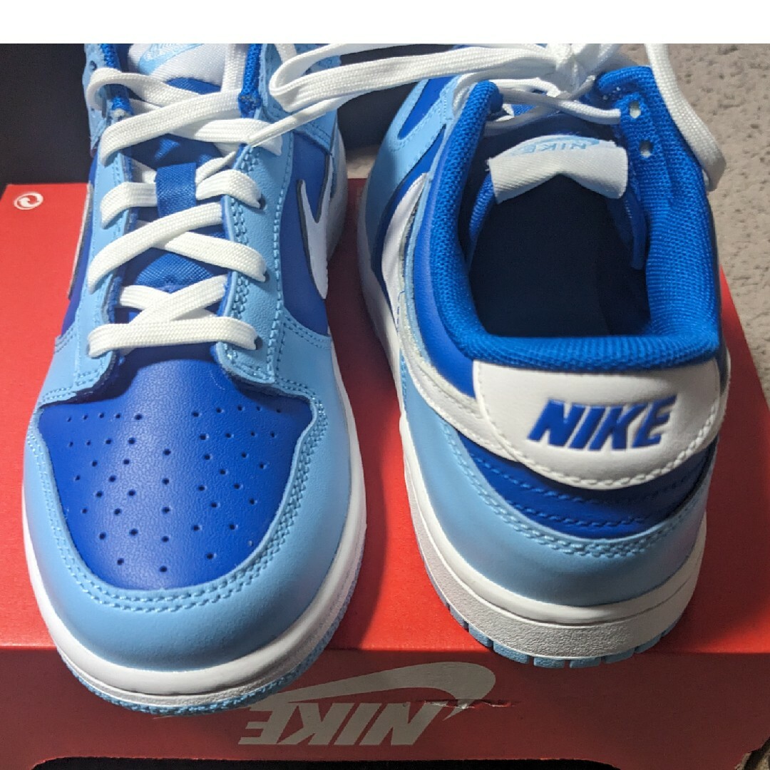 NIKE(ナイキ)の新品　NIKE DUNK LOW RETRO QS (PS) 22cm アルゴン レディースの靴/シューズ(スニーカー)の商品写真