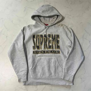 シュプリーム(Supreme)のPaisley Fuck Em All Hooded Sweatshirt M(パーカー)