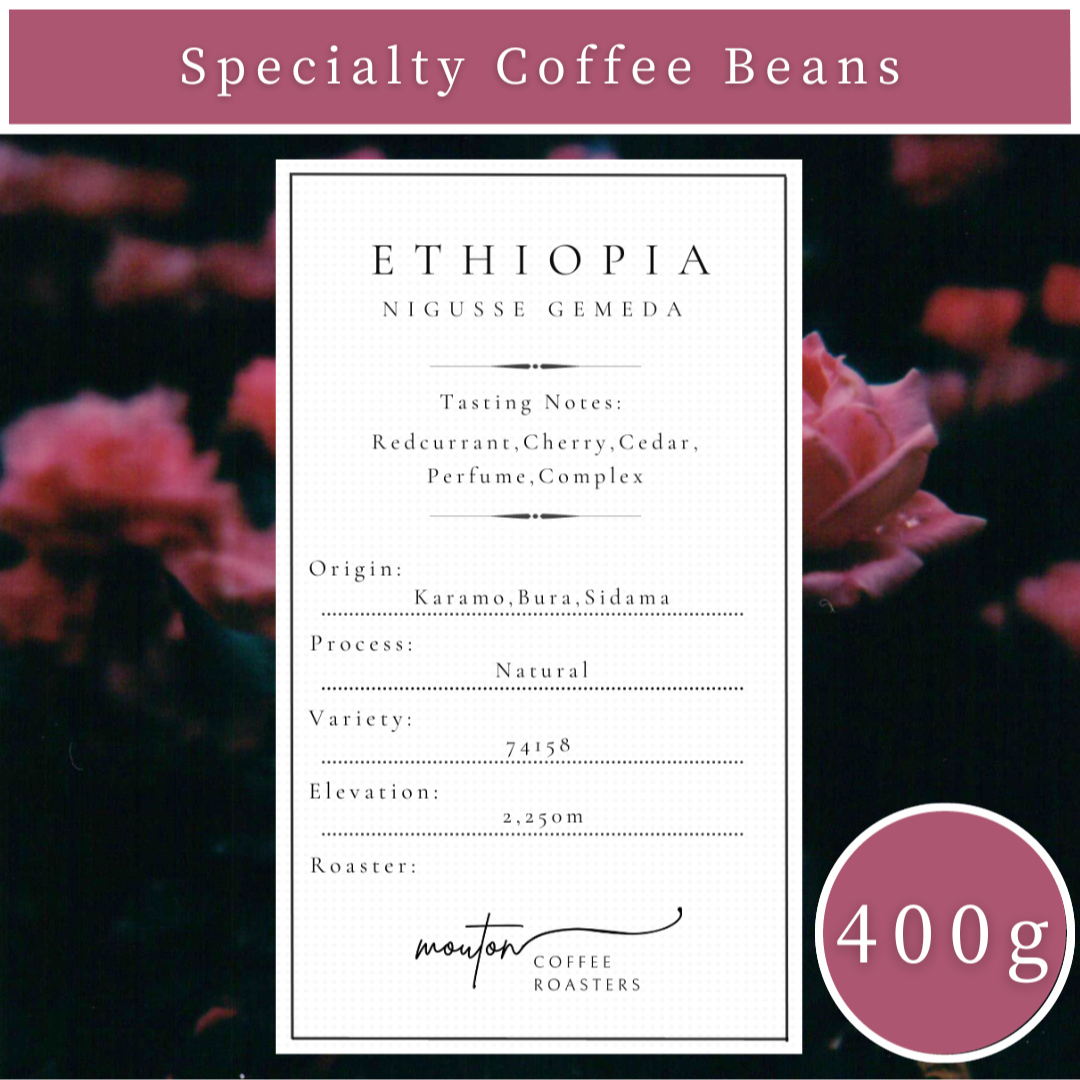 【400g】自家焙煎コーヒー豆　エチオピア　ニグセ・ゲメダ　ナチュラル 食品/飲料/酒の飲料(コーヒー)の商品写真