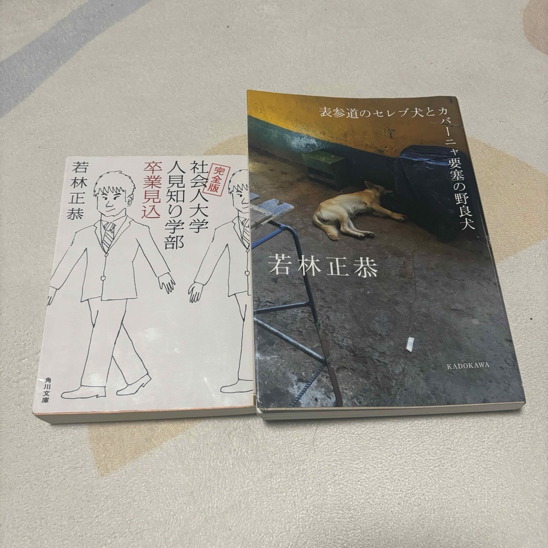 表参道のセレブ犬とカバーニャ要塞の野良　社会人大学人見知り学部 卒業見込 エンタメ/ホビーの本(文学/小説)の商品写真