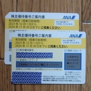 エーエヌエー(ゼンニッポンクウユ)(ANA(全日本空輸))のANA株主優待 2枚(その他)