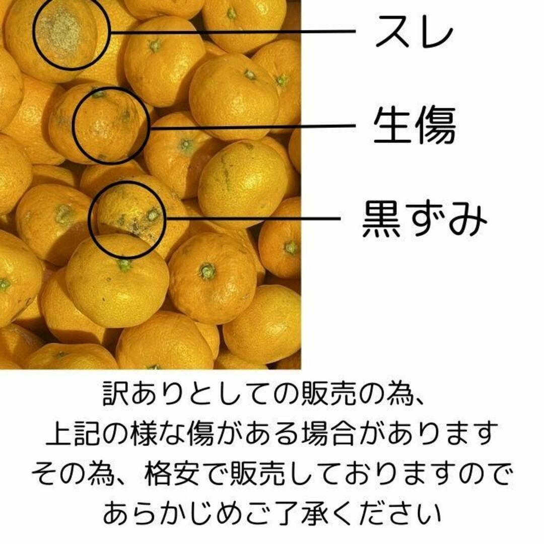 訳あり 小玉 有田みかん 2kg【減農薬】 産地直送 甘い 和歌山 2S 3S 食品/飲料/酒の食品(フルーツ)の商品写真