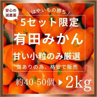 訳あり 小玉 有田みかん 2kg【減農薬】 産地直送 甘い 和歌山 2S 3S(フルーツ)