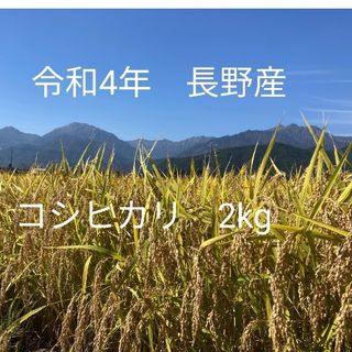 令和4年北信州産コシヒカリ　梱包込み2kg　ゆうパケットポスト(米/穀物)