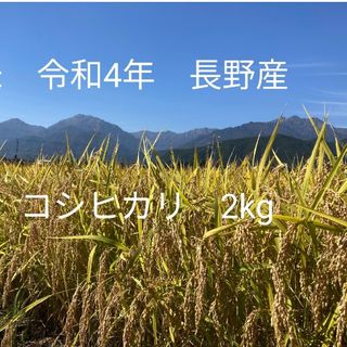 令和4年北信州産コシヒカリ　梱包込み2kg　ゆうパケットポスト(米/穀物)