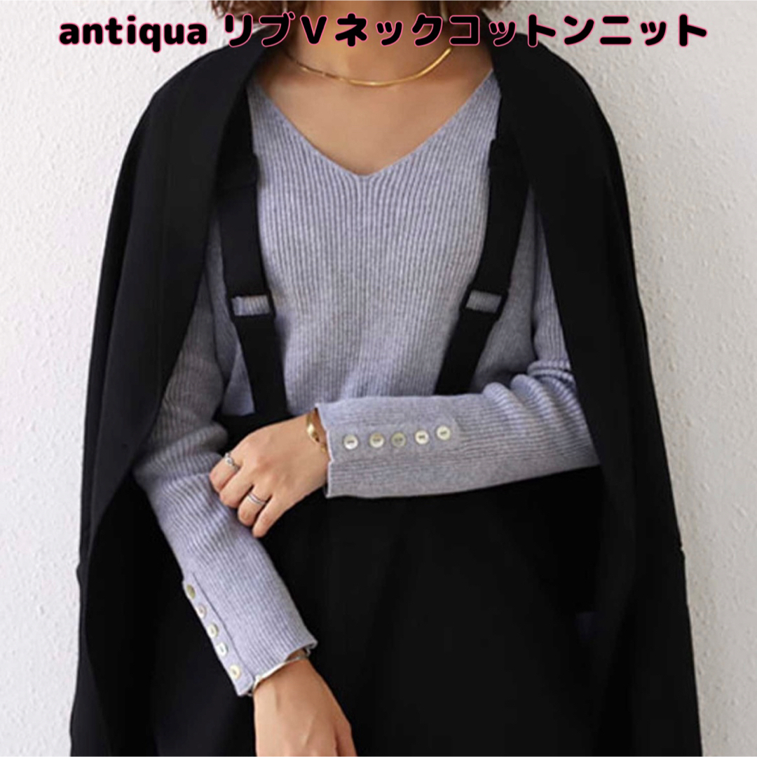 antiqua(アンティカ)の最終値下げ！【新品】antiqua(アンティカ)リブＶネックコットンニット L レディースのトップス(ニット/セーター)の商品写真