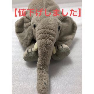 カロラータ ぬいぐるみ【アフリカゾウ 】(ねそべりシリーズ/やさしい手触り)(ぬいぐるみ)