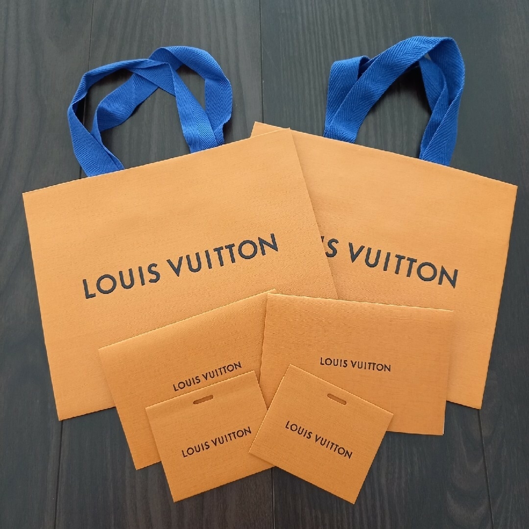 LOUIS VUITTON(ルイヴィトン)のルイヴィトン紙袋　ショッパー、メッセージカード、領収書入れ レディースのバッグ(ショップ袋)の商品写真