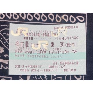 2/17名古屋ー東京　自由席チケット(鉄道乗車券)
