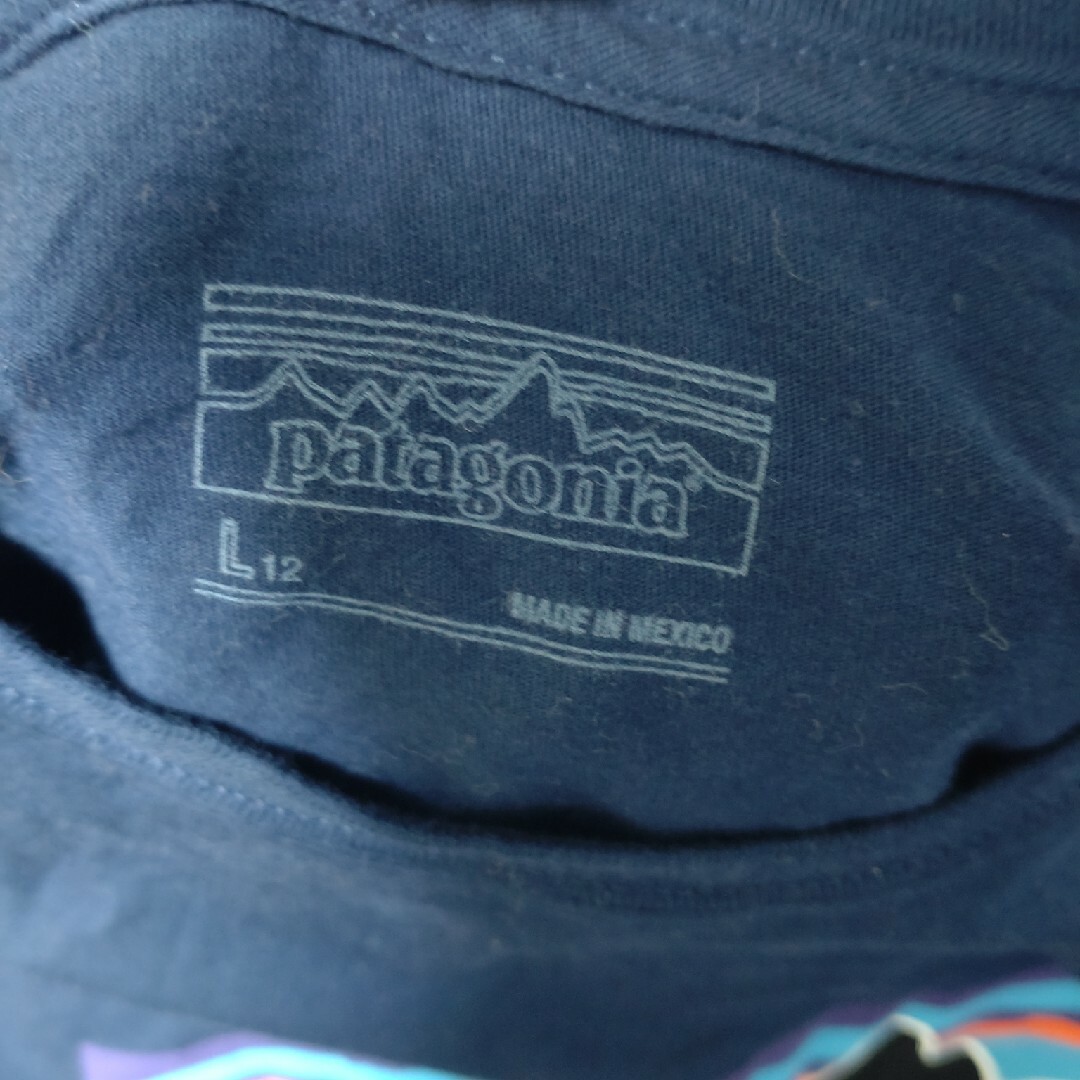 patagonia(パタゴニア)の【極美品★パタゴニア】ロゴロンＴ レディースのトップス(Tシャツ(長袖/七分))の商品写真