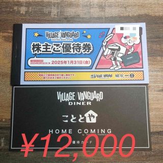 ヴィレッジヴァンガード 株主優待券 12,000円分(ショッピング)