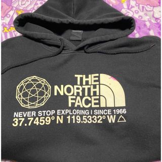 ザノースフェイス(THE NORTH FACE)のTHE NORTH FACE パーカー(パーカー)