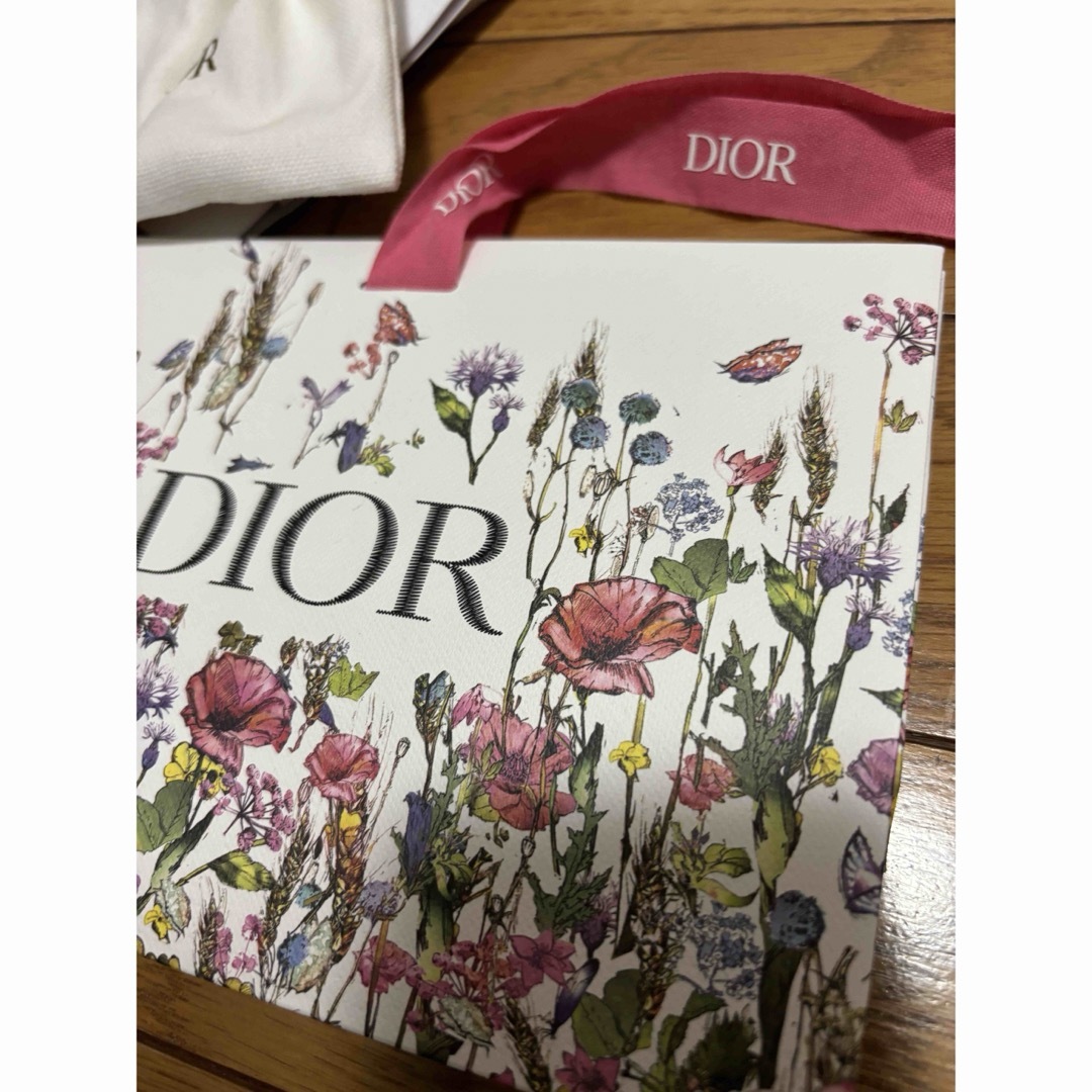 Dior(ディオール)のディオール　ショップバック レディースのバッグ(ショップ袋)の商品写真