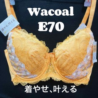 ワコール(Wacoal)のE70 ワコール　ブラジャー　レシアージュ　着やせ、叶える(ブラ)