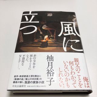 風に立つ(文学/小説)