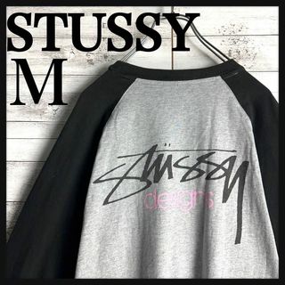 ステューシー(STUSSY)の8856【ラグラン】ステューシー☆バックプリントロングtシャツ　入手困難(Tシャツ/カットソー(七分/長袖))