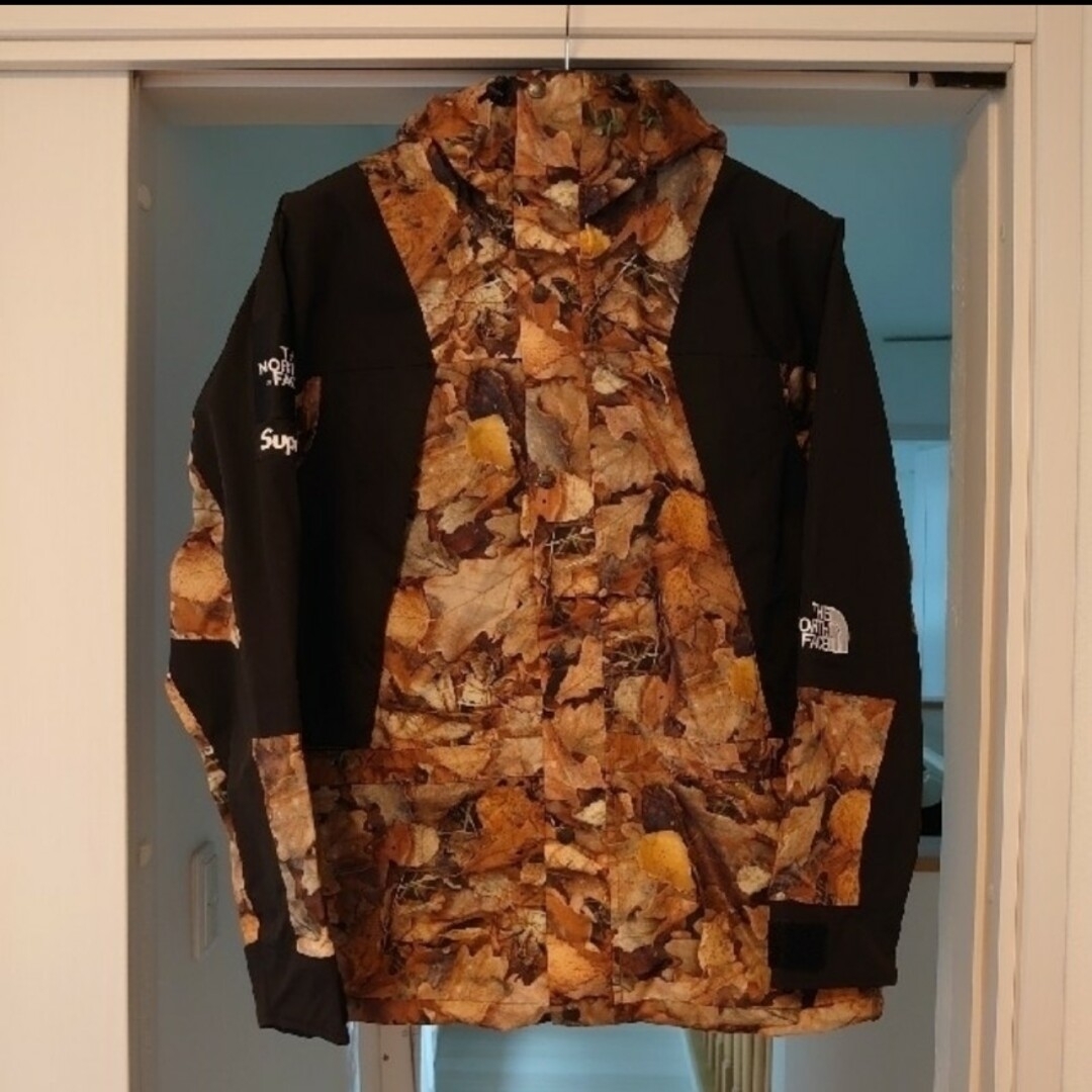 Supreme(シュプリーム)のSupreme TNF Leaves Mountain Light Jacket メンズのジャケット/アウター(マウンテンパーカー)の商品写真