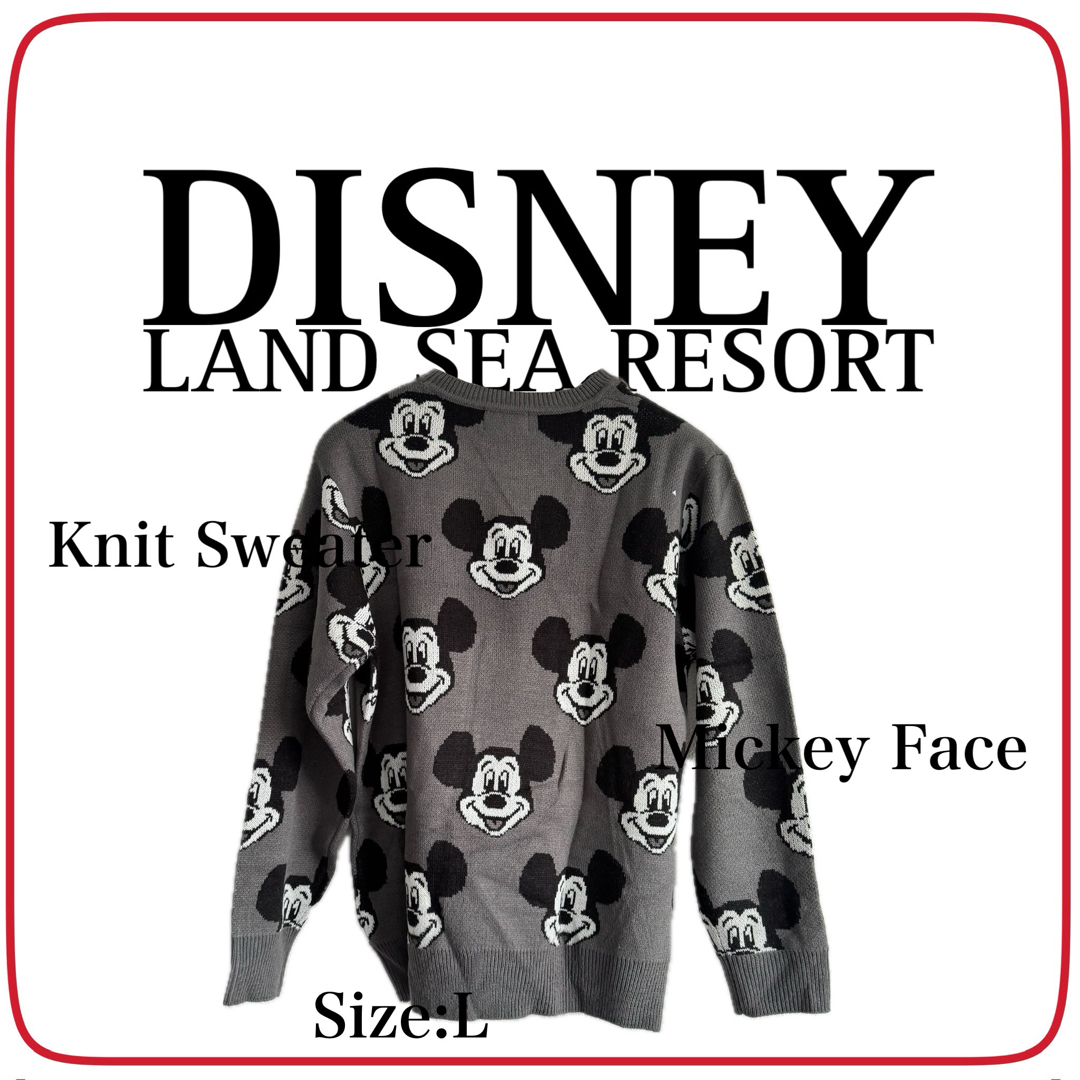 【公式♡美品】Disney Resort ミッキーマウス　セーター　ニット