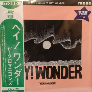 LPHEY! WONDER 180グラム重量盤レコード クロマニヨンズ(その他)